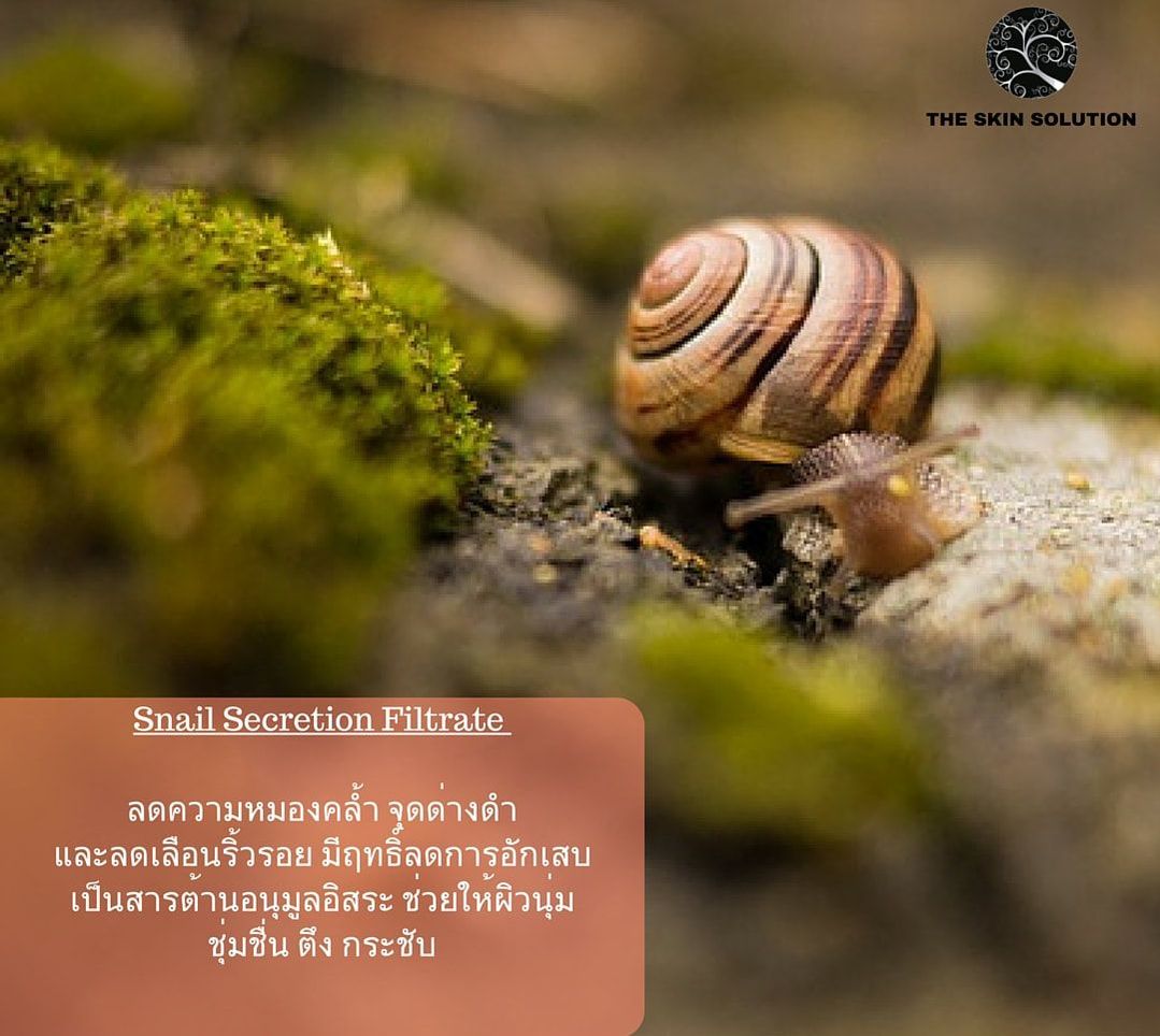 snail secretion 